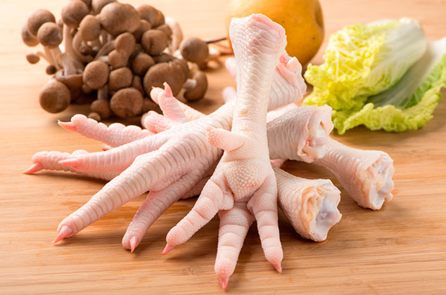 Pata Pollo
